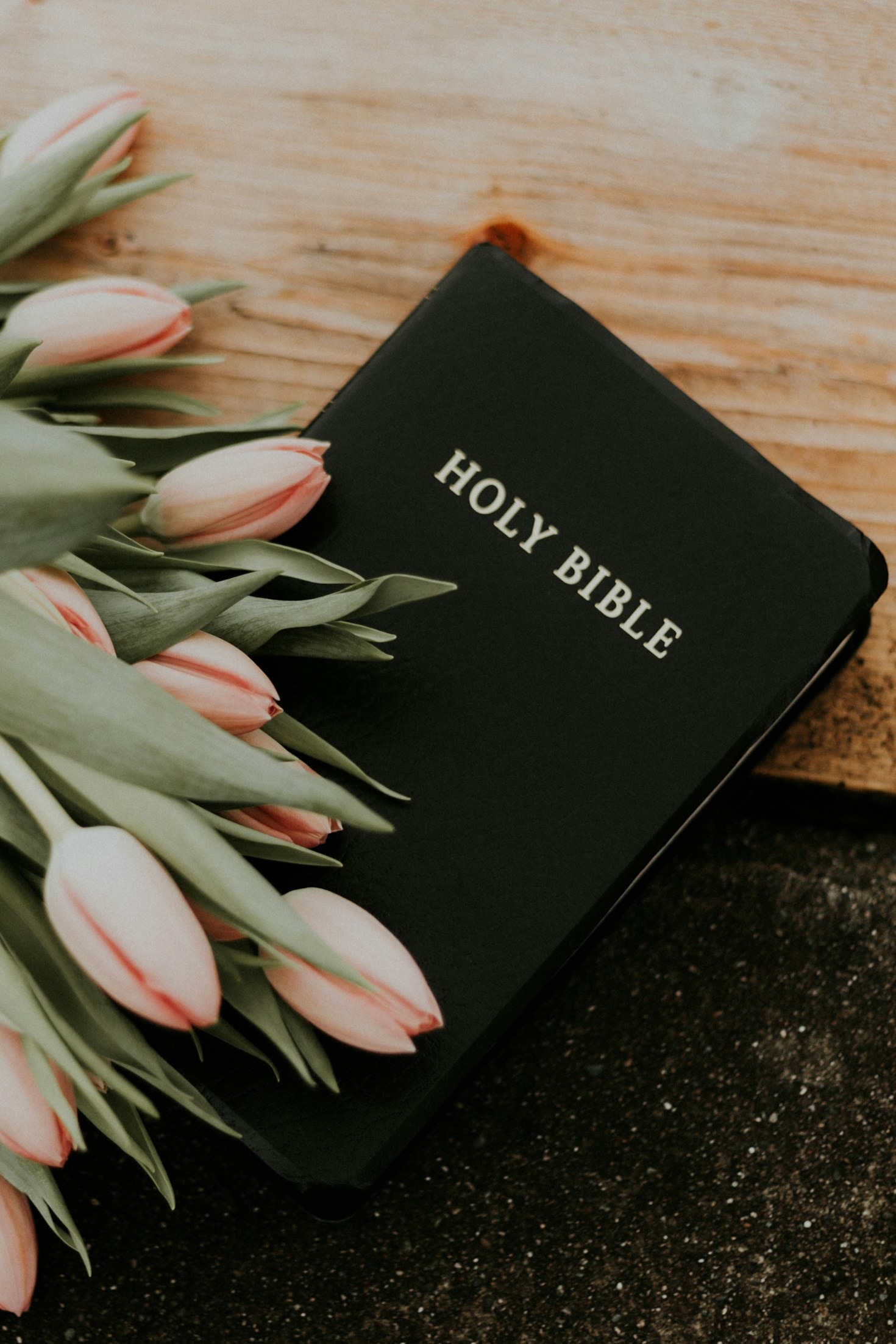 How Sisters Twice Can Empower Your Spirit